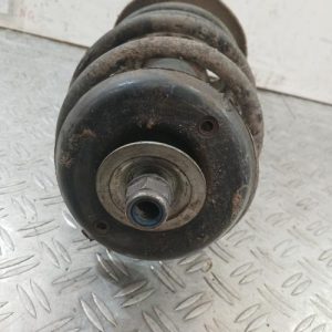 CITROEN C4 PICASSO 1